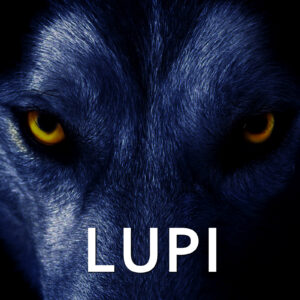 Lupi. Le indagini del monaco Anselmo