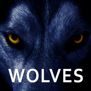 Wolves Monk Anselmo Investigations
